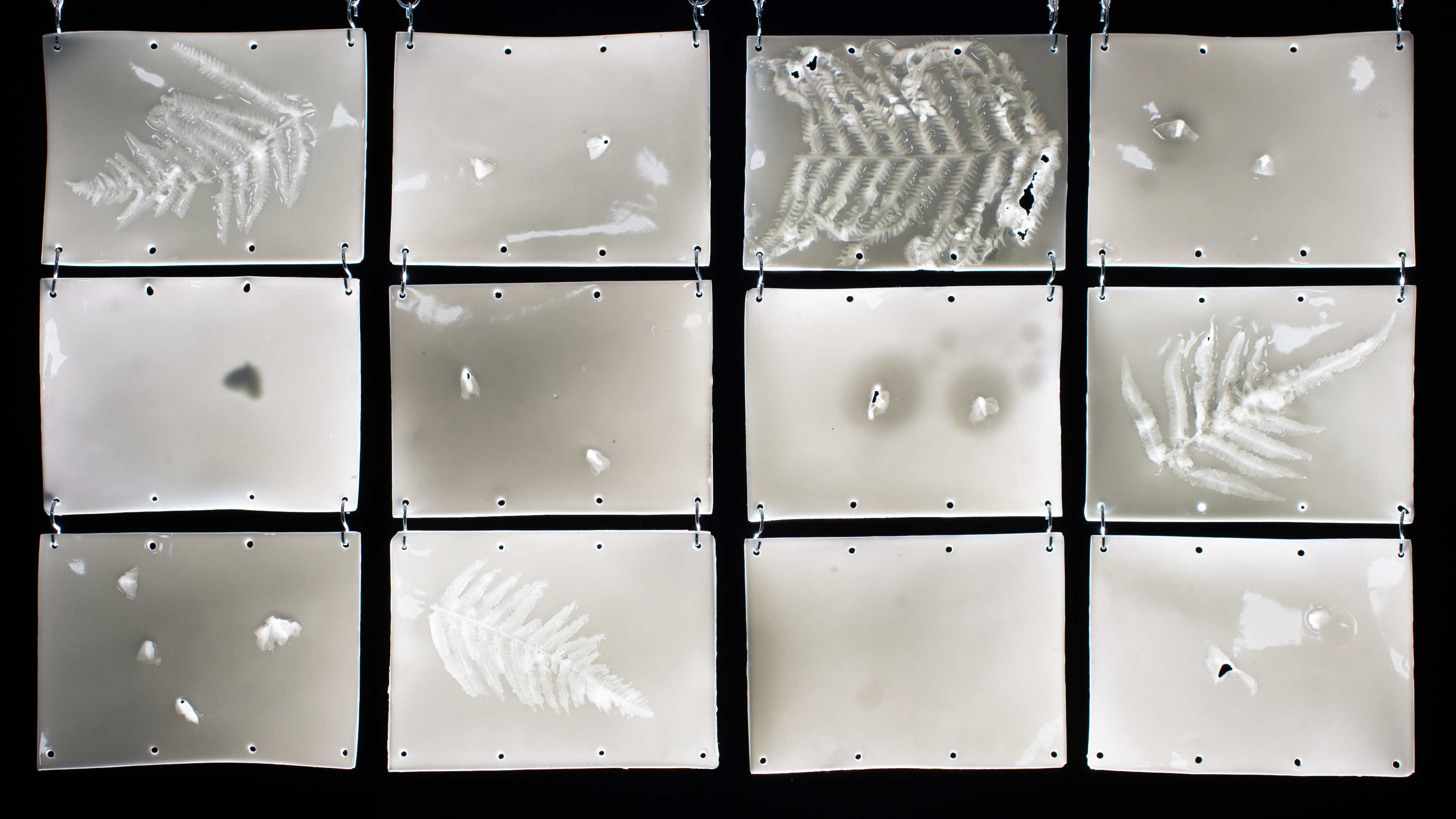 Beam Paths Installation