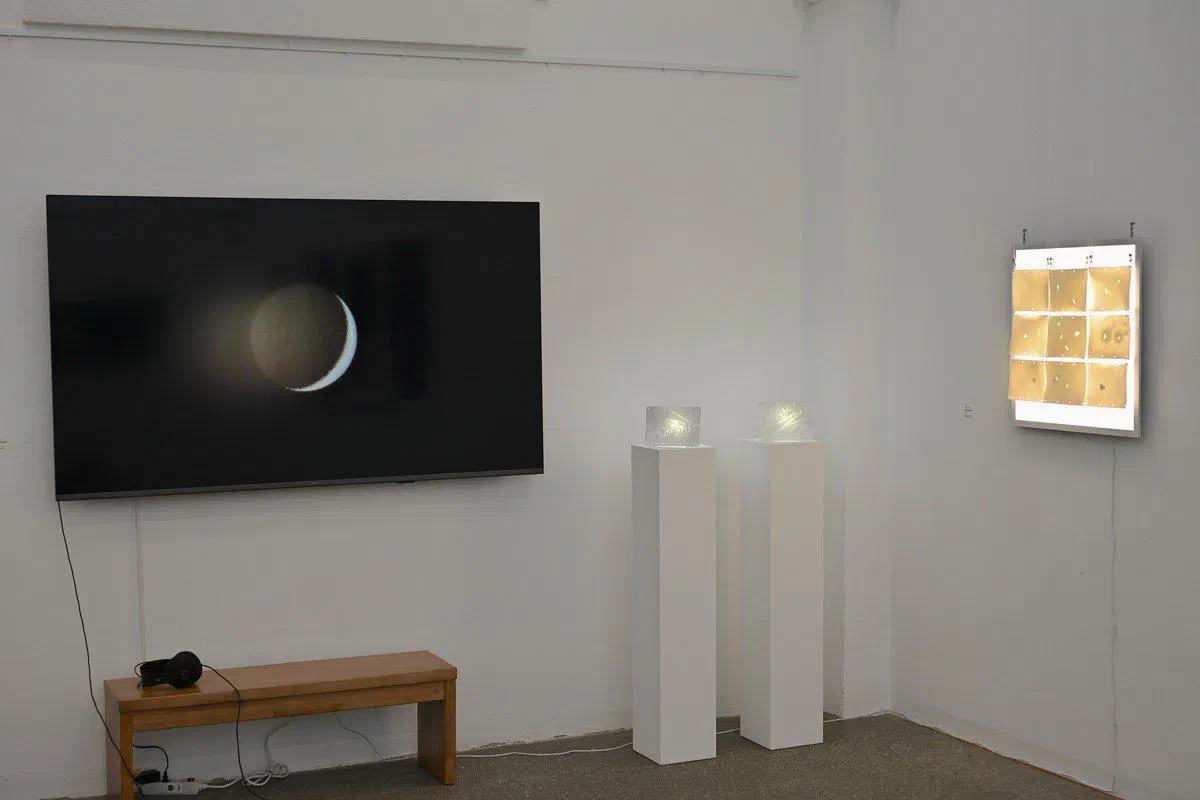 museum Fluxus+ Award