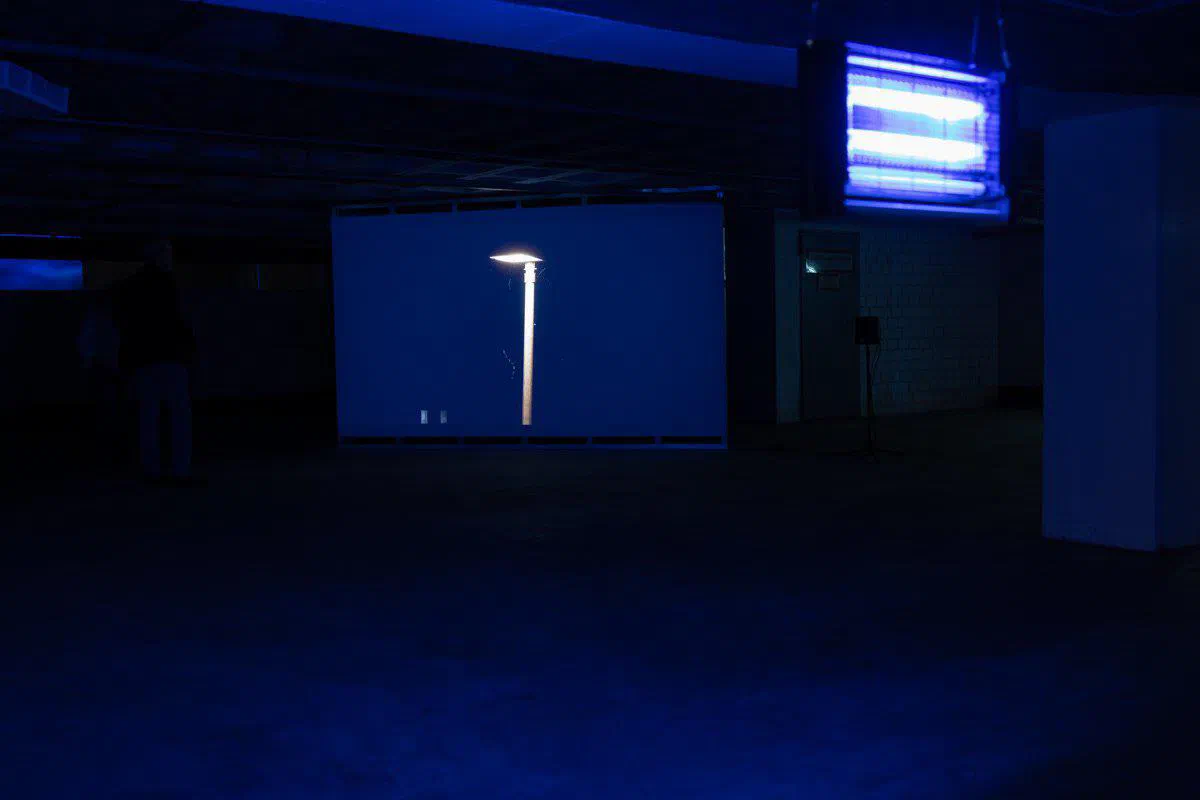 Shifting Tides: Art in a Changing Climate
